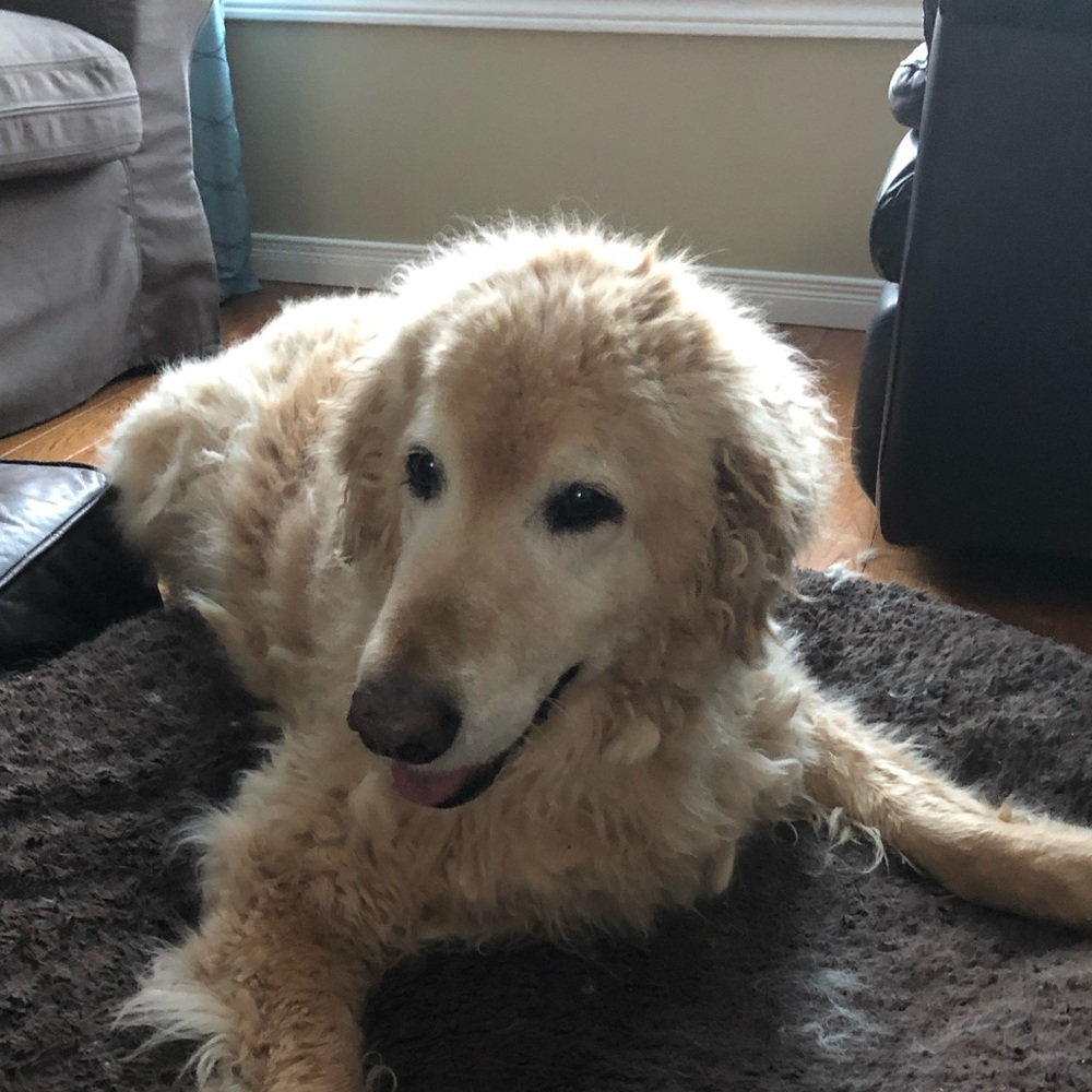 Meet your Posher, Erinn